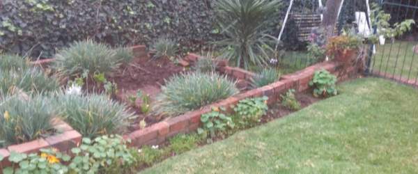 Plumtree Gardening Work 8